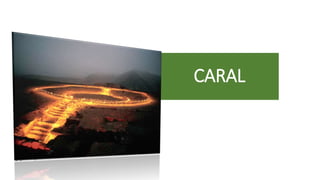 CARAL
 