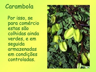 Carambola
Por isso, se
para comércio
estas são
colhidas ainda
verdes, e em
seguida
armazenadas
em condições
controladas.
 