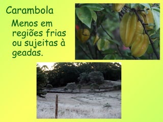 Carambola
 Menos em
 regiões frias
 ou sujeitas à
 geadas.
 