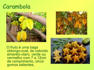 Carambola




 O fruto é uma baga
 oblongo-oval, de colorido
 amarelo-claro, verde ou
 vermelho com 7 a 12cm
 de comprimento, cinco
 gomos salientes.
 
