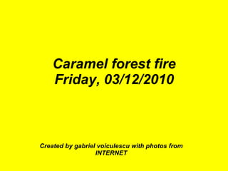 Caramel forest fire Friday, 03/12/2010 Created by gabriel voiculescu with photos from INTERNET 