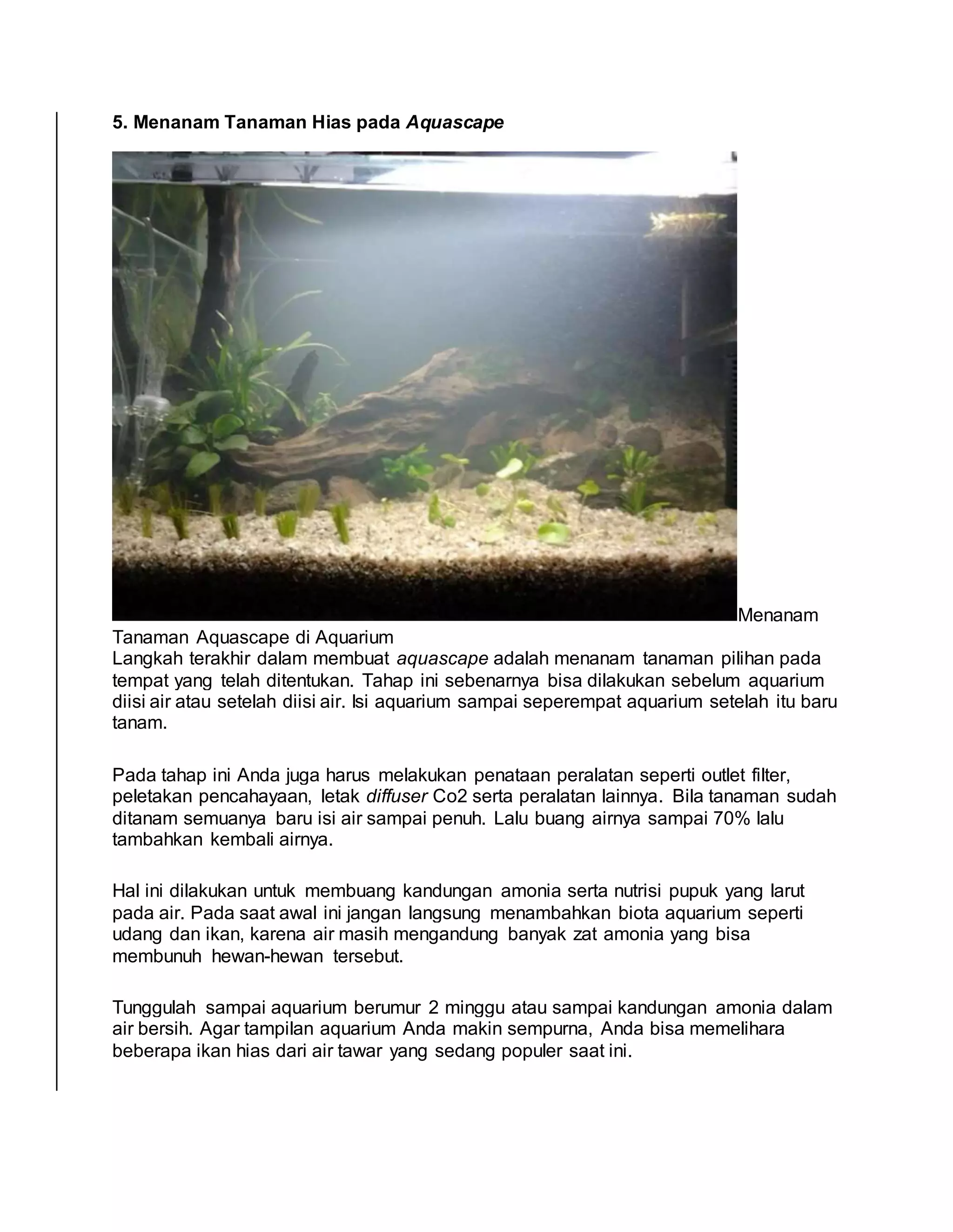 cara menambah co2 pada aquascape