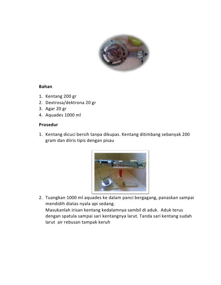 cara ukur suhu f0 membuat pda Cara bibit jamur cara ukur suhu f0 membuat pda Cara bibit jamur