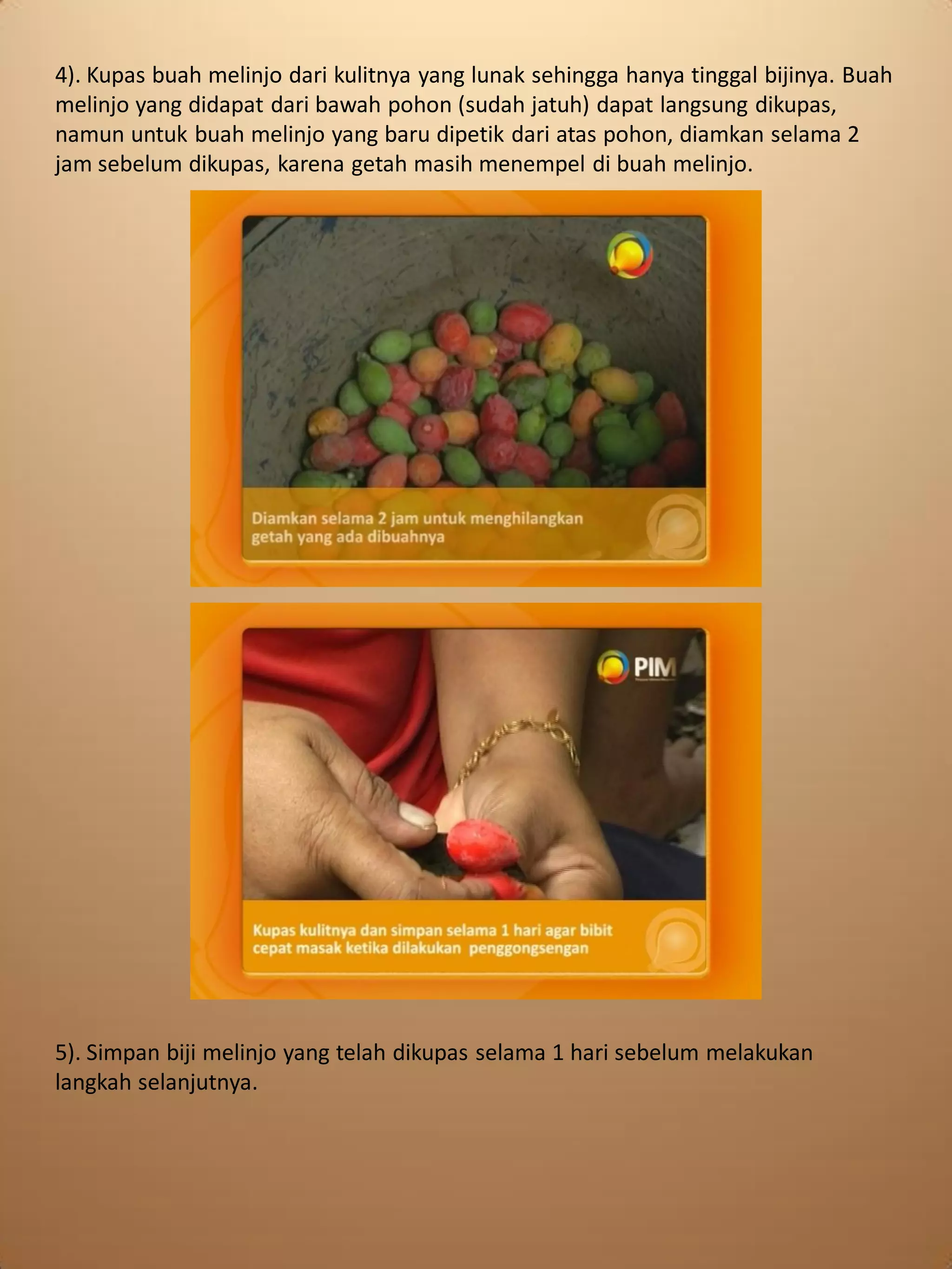 Cara membuat keripik emping melinjo | PDF