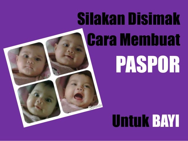 Membuat Paspor Bayi | cara membuat paspor bayi Membuat Paspor Bayi | cara membuat paspor bayi