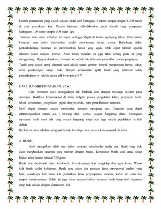 Daerah penanaman yang cocok adalah mulai dari ketinggian 5 meter sampai dengan 1.200 meter 
di atas permukaan laut. Namun biasanya dibudidayakan pada daerah yang mempunyai 
ketinggian 100 meter sampai 500 meter dpl. 
Tanaman sawi tahan terhadap air hujan, sehingga dapat di tanam sepanjang tahun. Pada musim 
kemarau yang perlu diperhatikan adalah penyiraman secara teratur. Berhubung dalam 
pertumbuhannya tanaman ini membutuhkan hawa yang sejuk. lebih cepat tumbuh apabila 
ditanam dalam suasana lembab. Akan tetapi tanaman ini juga tidak senang pada air yang 
menggenang. Dengan demikian, tanaman ini cocok bils di tanam pada akhir musim penghujan. 
Tanah yang cocok untuk ditanami sawi adalah tanah gembur, banyak mengandung humus, subur, 
serta pembuangan airnya baik. Derajat kemasaman (pH) tanah yang optimum untuk 
pertumbuhannya adalah antara pH 6 sampai pH 7. 
CARA MAEMBUDIDAYAKAN SAWI 
Cara bertanam sawi sesungguhnya tak berbeda jauh dengan budidaya sayuran pada 
umumnya. Budidaya konvensional di lahan meliputi proses pengolahan lahan, penyiapan benih, 
teknik penanaman, penyediaan pupuk dan pestisida, serta pemeliharaan tanaman. 
Sawi dapat ditanam secara monokultur maupun tunmpang sari. Tanaman yang dapat 
ditumpangsarikan antara lain : bawang dau, wortel, bayam, kangkung darat. Sedangkan 
menanam benih sawi ada yang secara langsung tetapi ada juga melalui pembibitan terlebih 
dahulu. 
Berikut ini akan dibahas mengenai teknik budidaya sawi secara konvensional di lahan. 
A. BENIH. 
Benih merupakan salah satu faktor penentu keberhasilan usaha tani. Benih yang baik 
akan menghasilkan tanaman yang tumbuh dengan bagus. Kebutuhan benih sawi untuk setiap 
hektar lahan tanam sebesar 750 gram. 
Benih sawi berbentuk bulat, kecil-kecil. Permukaannya licin mengkilap dan agak keras. Warna 
kulit benih coklat kehitaman. Benih yang akan kita gunakan harus mempunyai kualitas yang 
baik, seandainya beli harus kita perhatikan lama penyimpanan, varietas, kadar air, suhu dan 
tempat menyimpannya. Selain itu juga harus memperhatikan kemasan benih harus utuh. kemasan 
yang baik adalah dengan alumunium foil. 
 