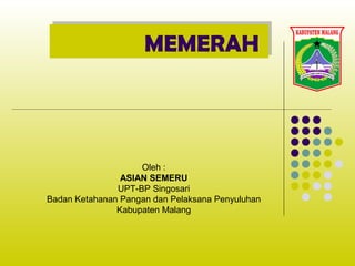 MEMERAHMEMERAH
Oleh :
ASIAN SEMERU
UPT-BP Singosari
Badan Ketahanan Pangan dan Pelaksana Penyuluhan
Kabupaten Malang
 