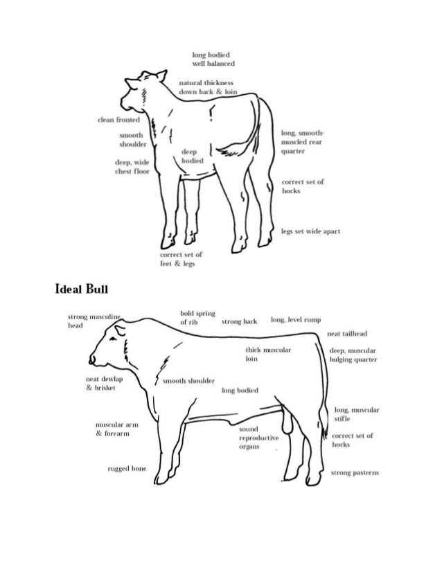 Cara Menduga Bobot Badan Cara Menduga Bobot Badan