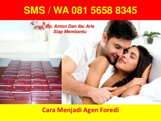 WA 081 5658 8345, Cara Menjadi Agen Foredi, Cara Jadi Agen Foredi