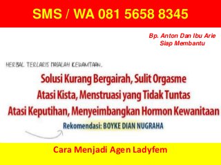 SMS / WA 081 5658 8345
Cara Menjadi Agen Ladyfem
Bp. Anton Dan Ibu Arie
Siap Membantu
 