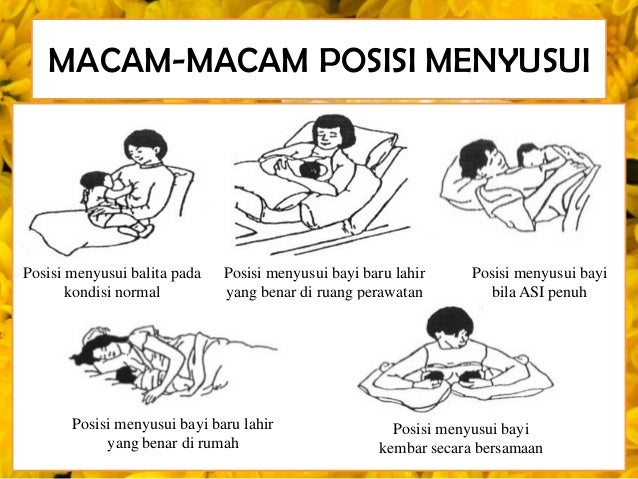 Cara Menyusui yang Benar