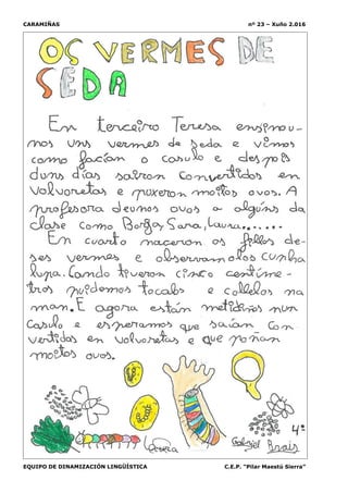 CARAMIÑAS nº 23 – Xuño 2.016
EQUIPO DE DINAMIZACIÓN LINGÜÍSTICA C.E.P. “Pilar Maestú Sierra”
 