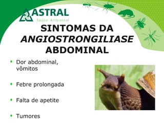 SINTOMAS DA
ANGIOSTRONGILIASE
ABDOMINAL
 Dor abdominal,
vômitos
 Febre prolongada
 Falta de apetite
 Tumores
 