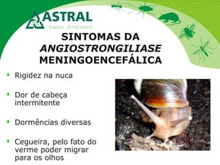 SINTOMAS DA
ANGIOSTRONGILIASE
MENINGOENCEFÁLICA
 Rigidez na nuca
 Dor de cabeça
intermitente
 Dormências diversas
 Cegueira, pelo fato do
verme poder migrar
para os olhos
 