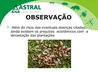 OBSERVAÇÃO
 Além do risco das eventuais doenças citadas,
ainda existem os prejuízos econômicos com a
devastação das plantações
 