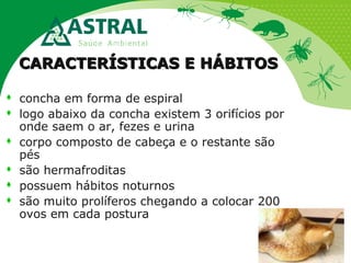 CARACTERÍSTICAS E HÁBITOSCARACTERÍSTICAS E HÁBITOS
 concha em forma de espiral
 logo abaixo da concha existem 3 orifícios por
onde saem o ar, fezes e urina
 corpo composto de cabeça e o restante são
pés
 são hermafroditas
 possuem hábitos noturnos
 são muito prolíferos chegando a colocar 200
ovos em cada postura
 