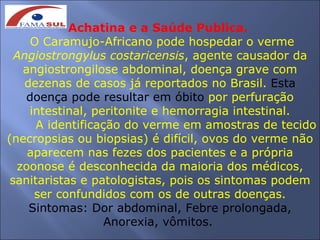 Achatina e a Saúde Publica.
     O Caramujo-Africano pode hospedar o verme
  Angiostrongylus costaricensis, agente causador da
   angiostrongilose abdominal, doença grave com
   dezenas de casos já reportados no Brasil. Esta
    doença pode resultar em óbito por perfuração
    intestinal, peritonite e hemorragia intestinal.
      A identificação do verme em amostras de tecido
(necropsias ou biopsias) é difícil, ovos do verme não
    aparecem nas fezes dos pacientes e a própria
  zoonose é desconhecida da maioria dos médicos,
 sanitaristas e patologistas, pois os sintomas podem
     ser confundidos com os de outras doenças.
    Sintomas: Dor abdominal, Febre prolongada,
                   Anorexia, vômitos.
 