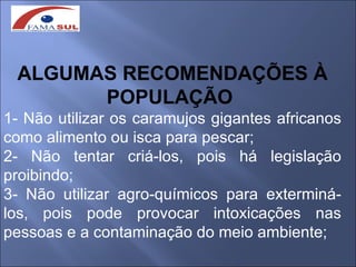 ALGUMAS RECOMENDAÇÕES À
       POPULAÇÃO
1- Não utilizar os caramujos gigantes africanos
como alimento ou isca para pescar;
2- Não tentar criá-los, pois há legislação
proibindo;
3- Não utilizar agro-químicos para exterminá-
los, pois pode provocar intoxicações nas
pessoas e a contaminação do meio ambiente;
 