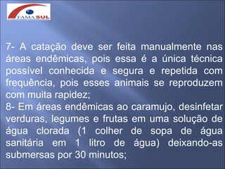 7- A catação deve ser feita manualmente nas
áreas endêmicas, pois essa é a única técnica
possível conhecida e segura e repetida com
frequência, pois esses animais se reproduzem
com muita rapidez;
8- Em áreas endêmicas ao caramujo, desinfetar
verduras, legumes e frutas em uma solução de
água clorada (1 colher de sopa de água
sanitária em 1 litro de água) deixando-as
submersas por 30 minutos;
 