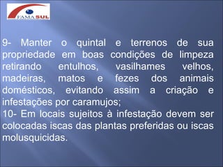 9- Manter o quintal e terrenos de sua
propriedade em boas condições de limpeza
retirando    entulhos,   vasilhames     velhos,
madeiras, matos e fezes dos animais
domésticos, evitando assim a criação e
infestações por caramujos;
10- Em locais sujeitos à infestação devem ser
colocadas iscas das plantas preferidas ou iscas
molusquicidas.
 