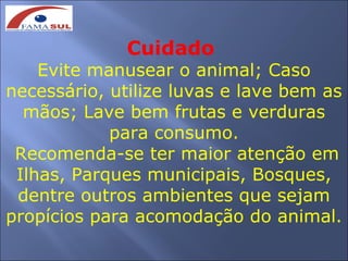 Cuidado
    Evite manusear o animal; Caso
necessário, utilize luvas e lave bem as
  mãos; Lave bem frutas e verduras
            para consumo.
 Recomenda-se ter maior atenção em
 Ilhas, Parques municipais, Bosques,
 dentre outros ambientes que sejam
propícios para acomodação do animal.
 