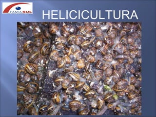 HELICICULTURA
 