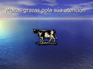 Moitas grazas pola súa atención 