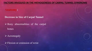 FACTORS INVOLVED IN THE PATHOGENESIS OF CARPAL TUNNEL SYNDROME
Anatomy:
Decrease in Size of Carpal Tunnel
 Bony abnormalities of the carpal
bones
 Acromegaly
 Flexion or extension of wrist
 