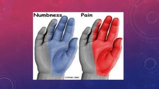 Median Nerve Injury and Carpal Tunnel Syndrome 