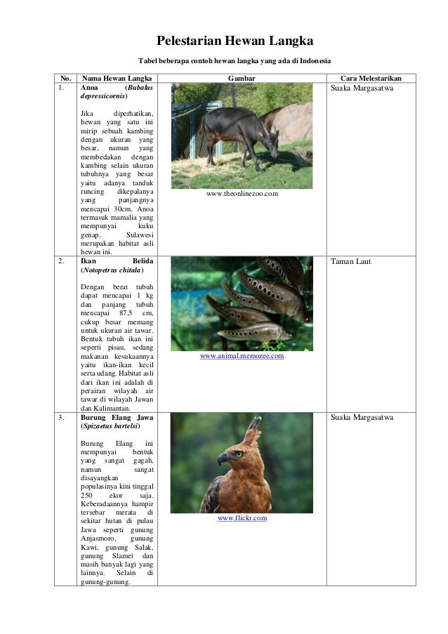 Cara Mengatasi Kepunahan Flora Dan  Fauna Di  Indonesia 