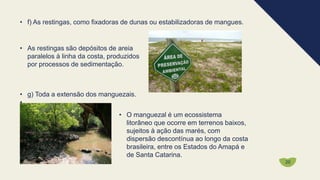 • f) As restingas, como fixadoras de dunas ou estabilizadoras de mangues.
• As restingas são depósitos de areia
paralelos à linha da costa, produzidos
por processos de sedimentação.
• g) Toda a extensão dos manguezais.
• .
• O manguezal é um ecossistema
litorâneo que ocorre em terrenos baixos,
sujeitos à ação das marés, com
dispersão descontínua ao longo da costa
brasileira, entre os Estados do Amapá e
de Santa Catarina.
20
 