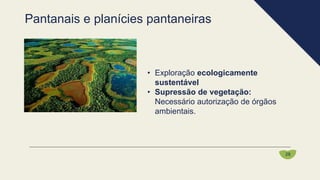 • Exploração ecologicamente
sustentável
• Supressão de vegetação:
Necessário autorização de órgãos
ambientais.
Pantanais e planícies pantaneiras
28
 