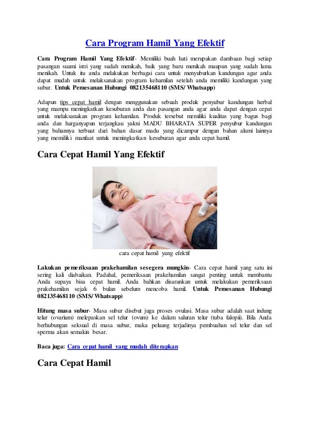 Cara Program Hamil Yang Efektif Solusi Kehamilan