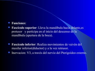  Funciones:
 Fascículo superior: Lleva la mandíbula hacia delante,es
protusor y participa en el inicio del descenso de la
mandíbula (apertura de la boca).
 Fascículo inferior: Realiza movimientos de vaivén del
maxilar inferior(diductor) y a la vez retrusor.
 Inervacion: V3, a través del nervio del Pterigoideo externo.
 