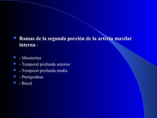  Ramas de la segunda porción de la arteria maxilar
interna :
 - Maseterina
 - Temporal profunda anterior
 - Temporal profunda media
 - Pterigoideas
 - Bucal
 