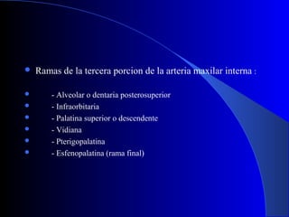  Ramas de la tercera porcion de la arteria maxilar interna :
 - Alveolar o dentaria posterosuperior
 - Infraorbitaria
 - Palatina superior o descendente
 - Vidiana
 - Pterigopalatina
 - Esfenopalatina (rama final)
 