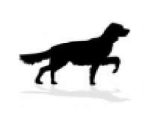 Figuras de estimulación visual