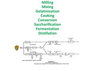 Milling
Mixing
Gelatinization
Cooking
Conversion
Saccharification
Fermentation
Distillation
 