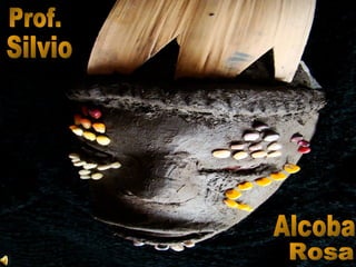 Alcoba Prof. Silvio Rosa