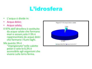 L’idrosfera L’acqua si divide in: Acqua dolce; Acqua salata; Il 97% dell’idrosfera è costituito da acque salate che formano mari e oceani,solo il 3% è rappresentato da acque dolci che formano i fiumi laghi. Ma questo 3% è “imprigionato”nelle calotte polari e solo lo 0,3% è accessibile agli organismi che vivono sulla terra ferma. 