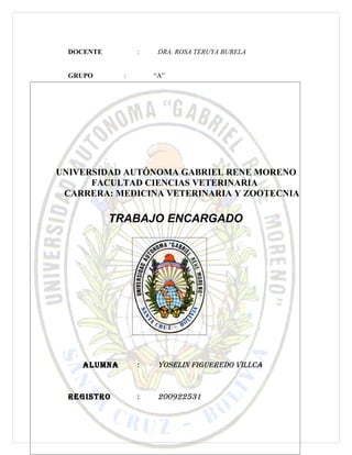 DOCENTE        :    DRA. ROSA TERUYA BURELA


  GRUPO      :       “A”




UNIVERSIDAD AUTÓNOMA GABRIEL RENE MORENO
      FACULTAD CIENCIAS VETERINARIA
 CARRERA: MEDICINA VETERINARIA Y ZOOTECNIA

            TRABAJO ENCARGADO




    ALUMNA       :    YOSELIN FIGUEREDO VILLCA


  REGISTRO       :    200922531
 