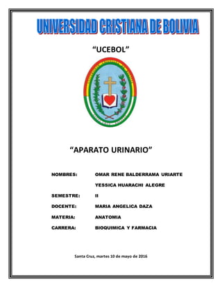 “UCEBOL”
“APARATO URINARIO”
NOMBRES: OMAR RENE BALDERRAMA URIARTE
YESSICA HUARACHI ALEGRE
SEMESTRE: II
DOCENTE: MARIA ANGELICA DAZA
MATERIA: ANATOMIA
CARRERA: BIOQUIMICA Y FARMACIA
Santa Cruz, martes 10 de mayo de 2016