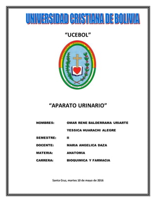 “UCEBOL”
“APARATO URINARIO”
NOMBRES: OMAR RENE BALDERRAMA URIARTE
YESSICA HUARACHI ALEGRE
SEMESTRE: II
DOCENTE: MARIA ANGELICA DAZA
MATERIA: ANATOMIA
CARRERA: BIOQUIMICA Y FARMACIA
Santa Cruz, martes 10 de mayo de 2016
 