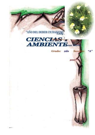 Tema:
     Plantas Medicinales

Alumna:

    Lady Aguilar Curitomay

Profesor (a):

          Rosa Maria

Grado:    2do     Sección:   “A”


                2007
 