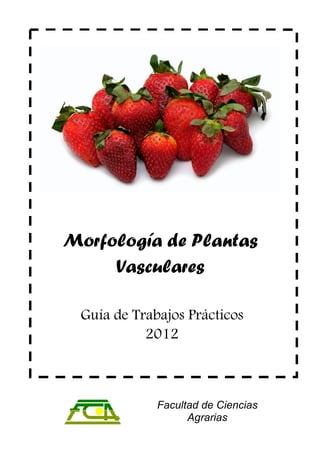 Morfología de Plantas
Vasculares
Guía de Trabajos Prácticos
2012

Facultad de Ciencias
Agrarias

 
