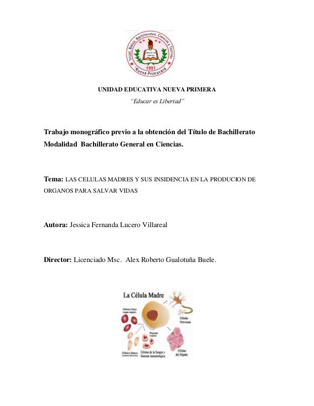 Temas Interesantes Para Monografias De Bachillerato