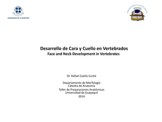 Desarrollo de Cara y Cuello en Vertebrados
Face and Neck Development in Vertebrates
Dr. Rafael Coello Cuntó
Departamento de Morfología
Cátedra de Anatomía
Taller de Preparaciones Anatómicas
Universidad de Guayaquil
2014
 