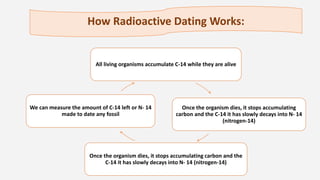 How Radioactive Dating Works:
All living organisms accumulate C-14 while they are alive
Once the organism dies, it stops accumulating
carbon and the C-14 it has slowly decays into N- 14
(nitrogen-14)
Once the organism dies, it stops accumulating carbon and the
C-14 it has slowly decays into N- 14 (nitrogen-14)
We can measure the amount of C-14 left or N- 14
made to date any fossil
 