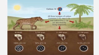 Limitations of carbon dating
• Carbon dating cannot be used for samples older than 60,000 years.
• The material being date...