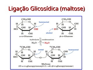 Ligação Glicosídica (maltose)
Ligação Glicosídica (maltose)
 